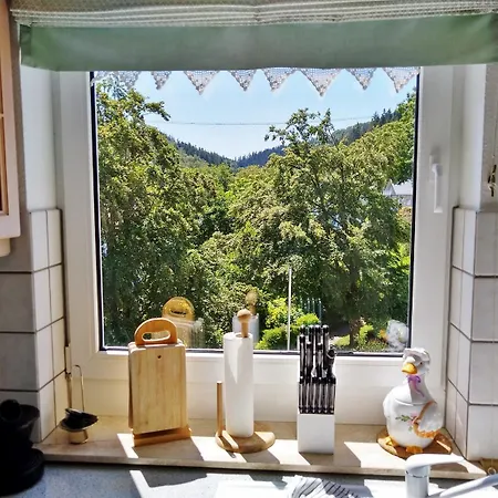 Komfort-fewo Skywalk-blick Mit Meinecardplus *