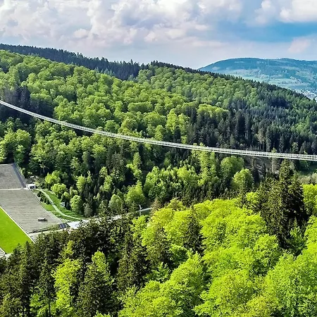 Komfort-fewo Skywalk-blick Mit Meinecardplus Willingen (Upland)