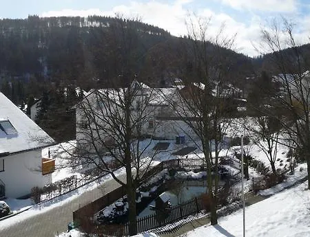 Komfort-fewo Skywalk-blick Mit Meinecardplus Willingen (Upland)