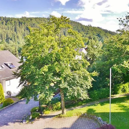 Komfort-fewo Skywalk-blick Mit Meinecardplus * Willingen (Upland)