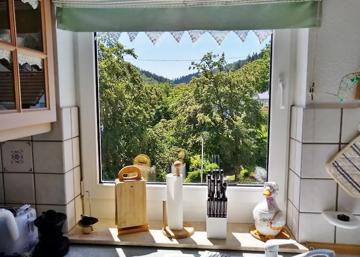 Komfort-fewo Skywalk-blick Mit Meinecardplus *